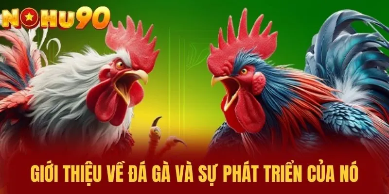 Giới thiệu về đá gà và sự phát triển của nó