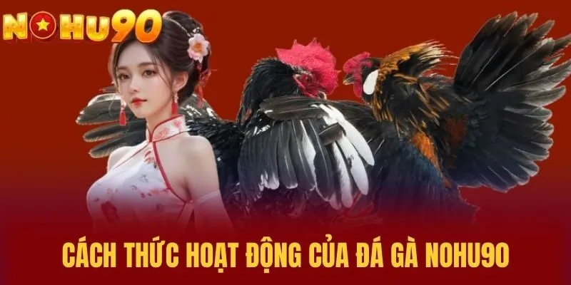 Cách thức hoạt động của Đá Gà NOHU90