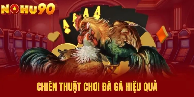 Chiến thuật chơi đá gà hiệu quả