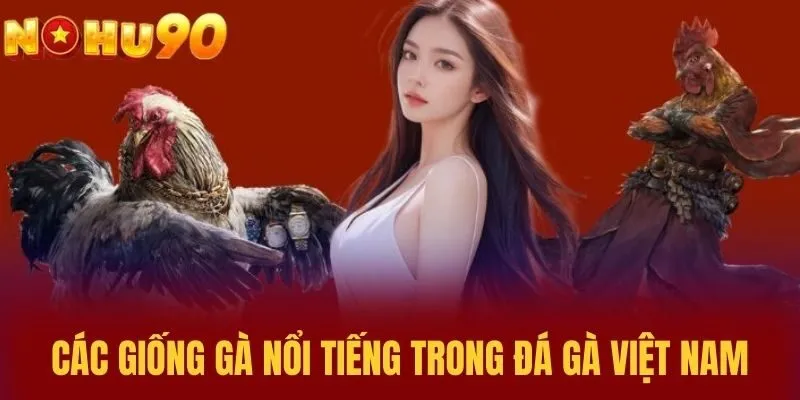 Các giống gà nổi tiếng trong Đá Gà Việt Nam