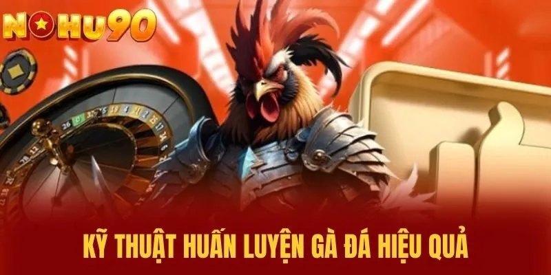 Kỹ thuật huấn luyện gà đá hiệu quả